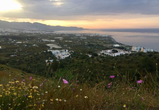 Villa en Nerja - Villa Los Girasoles Villa en Nerja - Villa Los Girasoles