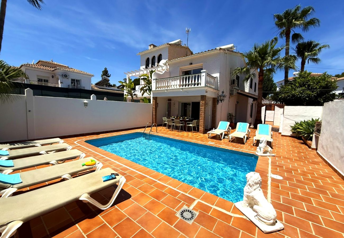 Villa in Nerja - Villa Los Leones