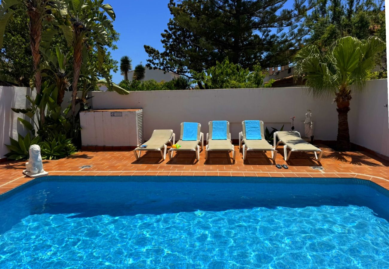 Villa in Nerja - Villa Los Leones